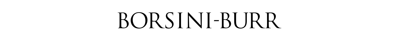 Borsini-Burr Logo